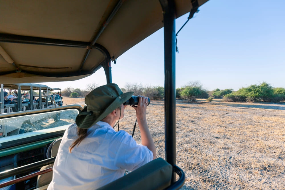 Ce safari a éveillé en moi un profond respect pour la vie sauvage et une admiration infinie pour la beauté brute de l’Afrique.