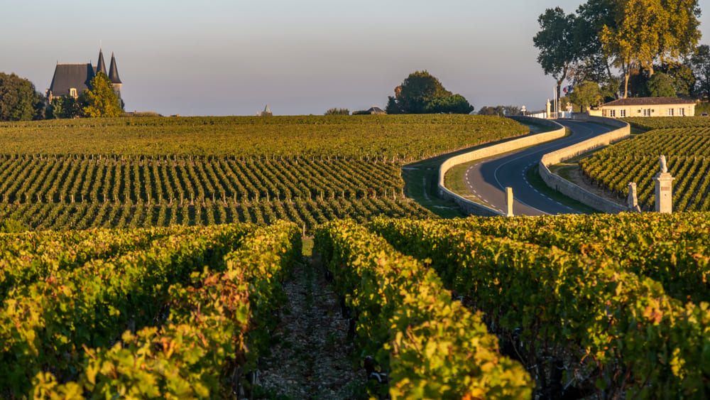  Ce voyage à travers les vignobles et les spécialités régionales de France a été une véritable immersion dans l’art de vivre à la française : des vins sublimes, des rencontres passionnantes et une gastronomie inoubliable.